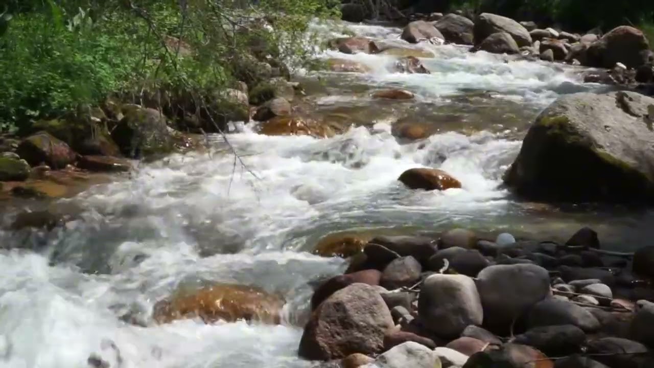 звуки ручья звуки природы пение птиц