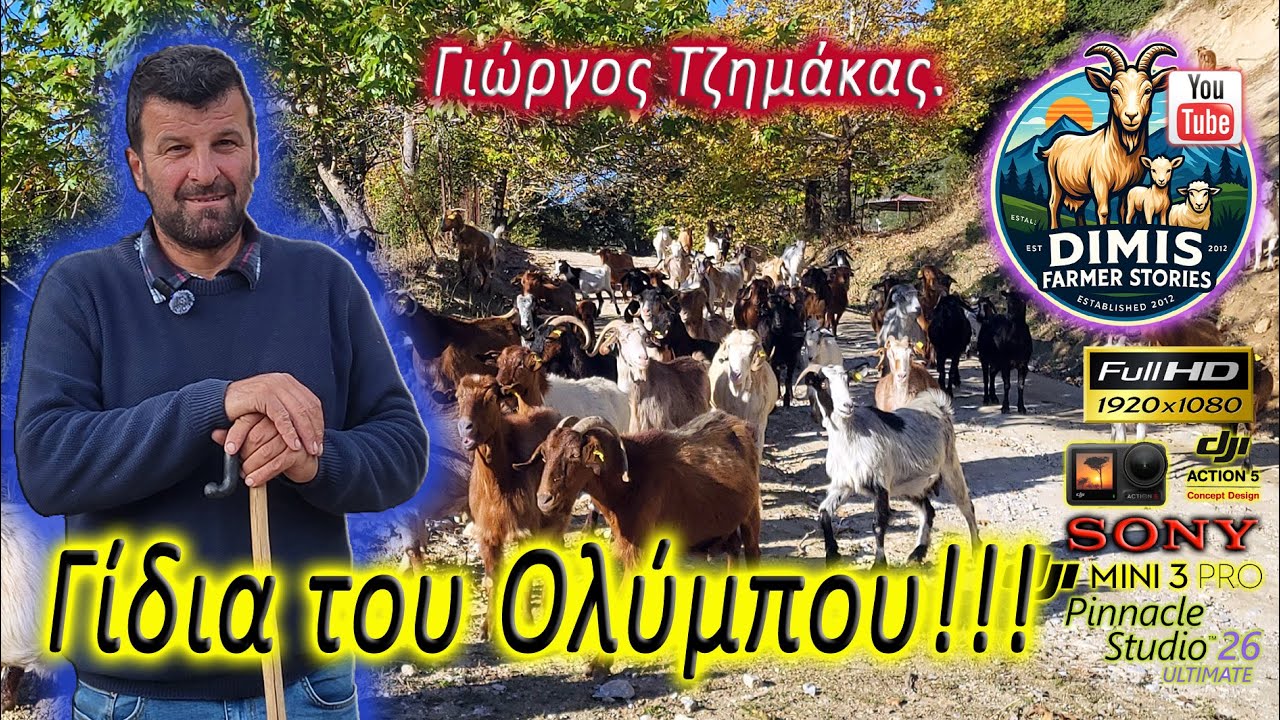 Γίδια του Ολύμπου! Γεώργιος Τζημάκας.