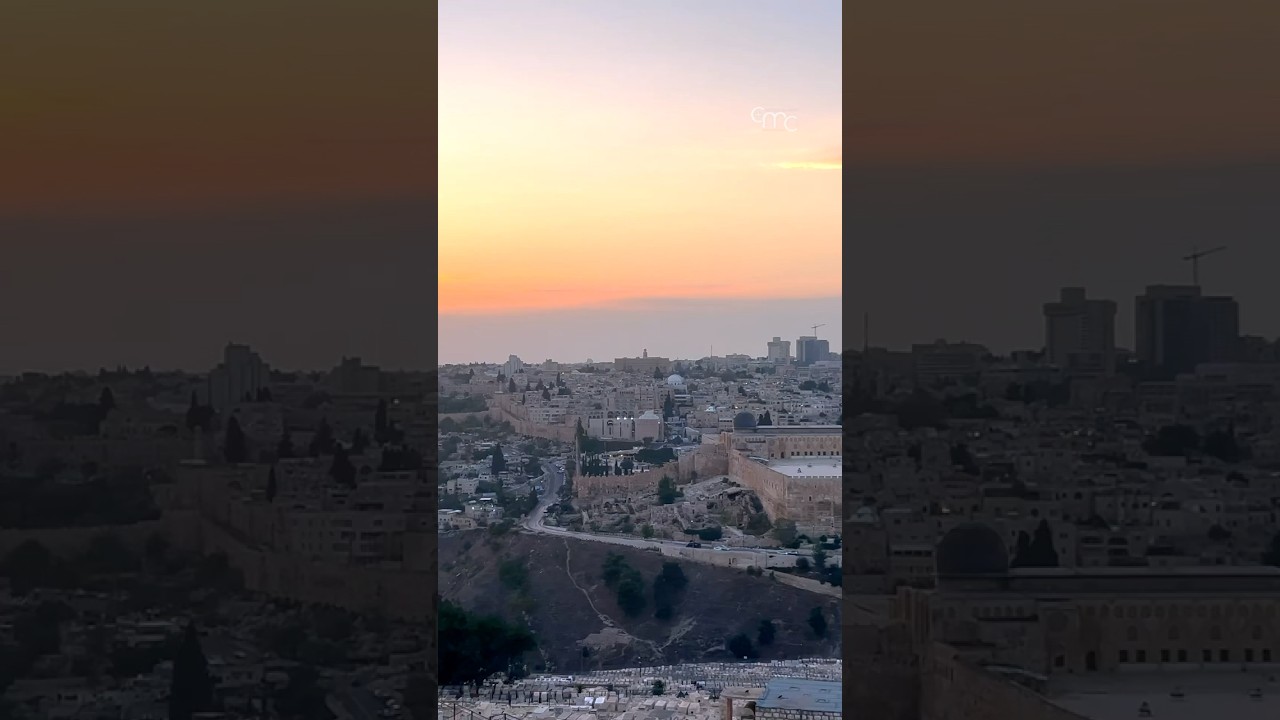 HERE Where Jesus Walked | Pro Terra Sancta