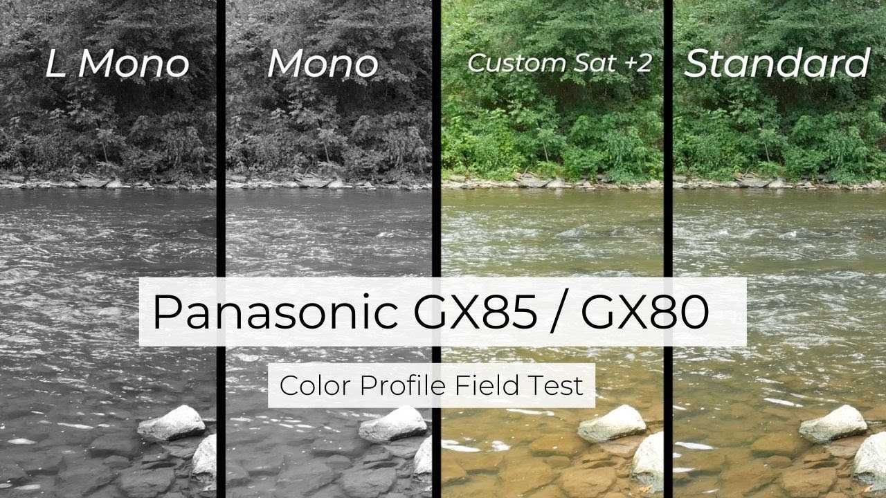 Color Profile Field test - Panasonic Lumix GX85 / GX80