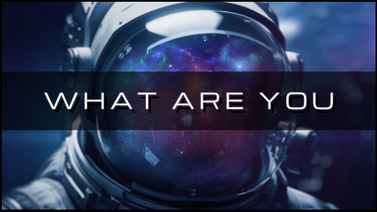 You Are Information in the Timeline of the Universe