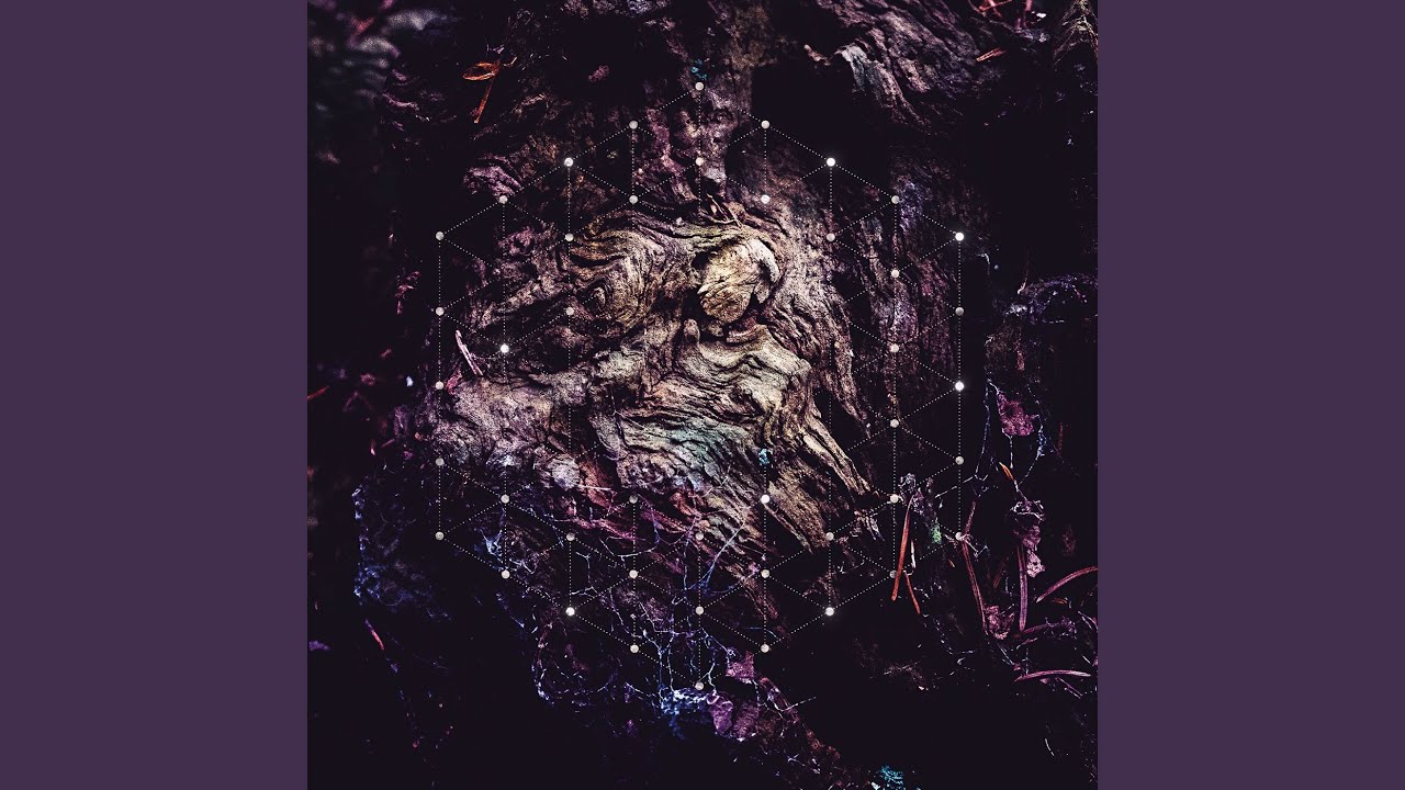 The Fall of Consciousness