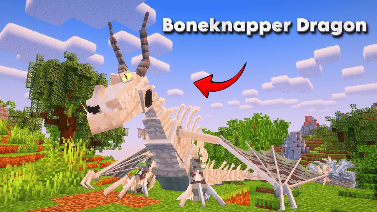 We Found the Dragon EGG! - Minecraft Dragons