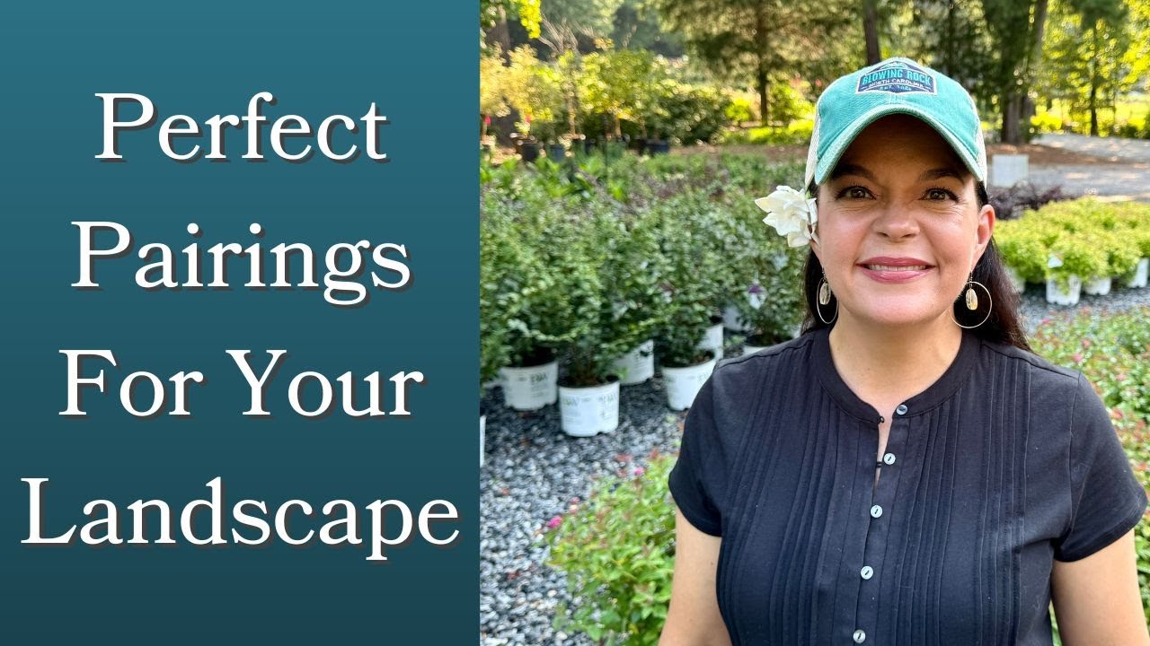 Perfect Pairings For Your Landscape!