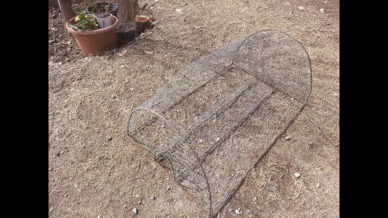 TRAMPA para aves, muy simple y efectiva......