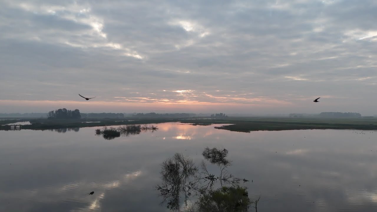 Drone Flight at Sunrise &ndash; Tusschenwater Zuidlaren