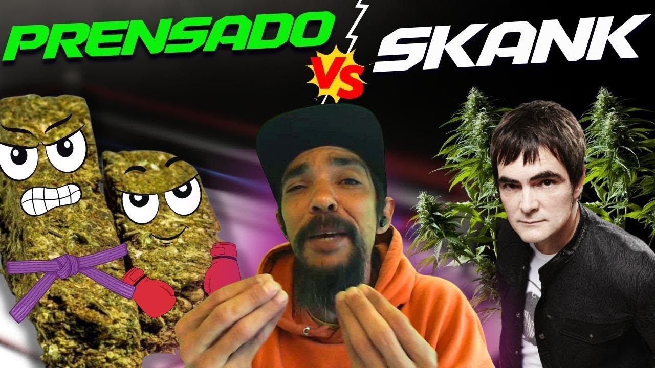 O QUE &Eacute; O SKUNK? - PRENSADO VS SKUNK!