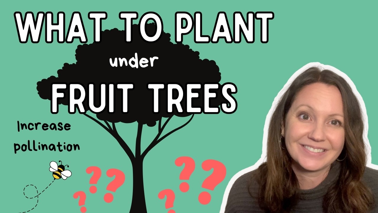 Fruit trees THRIVE with these plants!