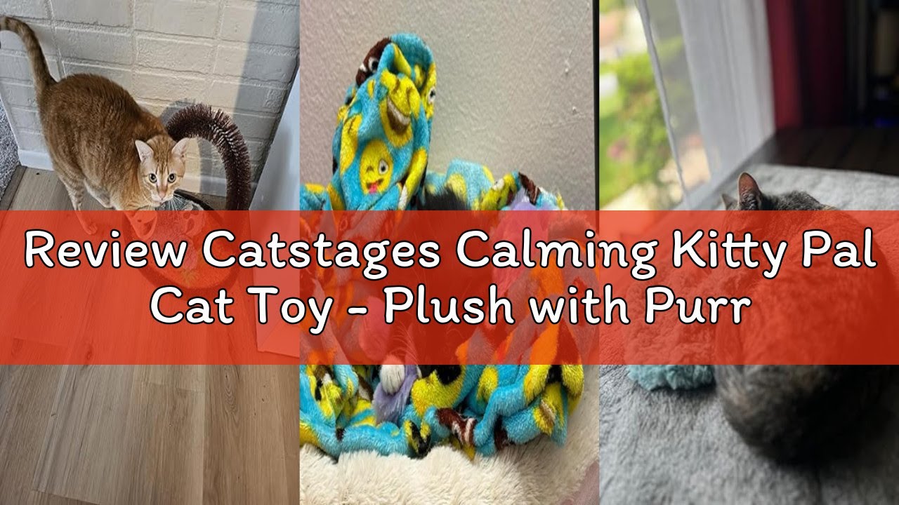 Review Catstages Calming Kitty Pal Cat Toy - Plush with Purring, Heartbeat, Warmth & Vibration for A