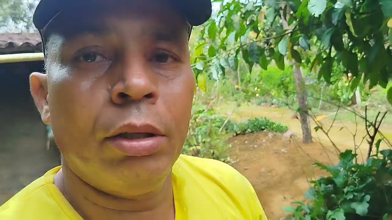 Como fazer pra tirar a impureza da gasolina comum.