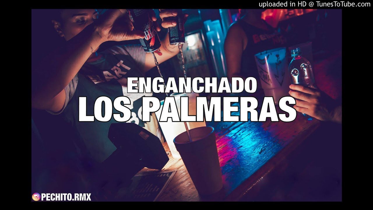 LOS PALMERAS ✘ ENGANCHADO ✘ REMIX FIESTERO ✘ PECHITO REMIX 🌴