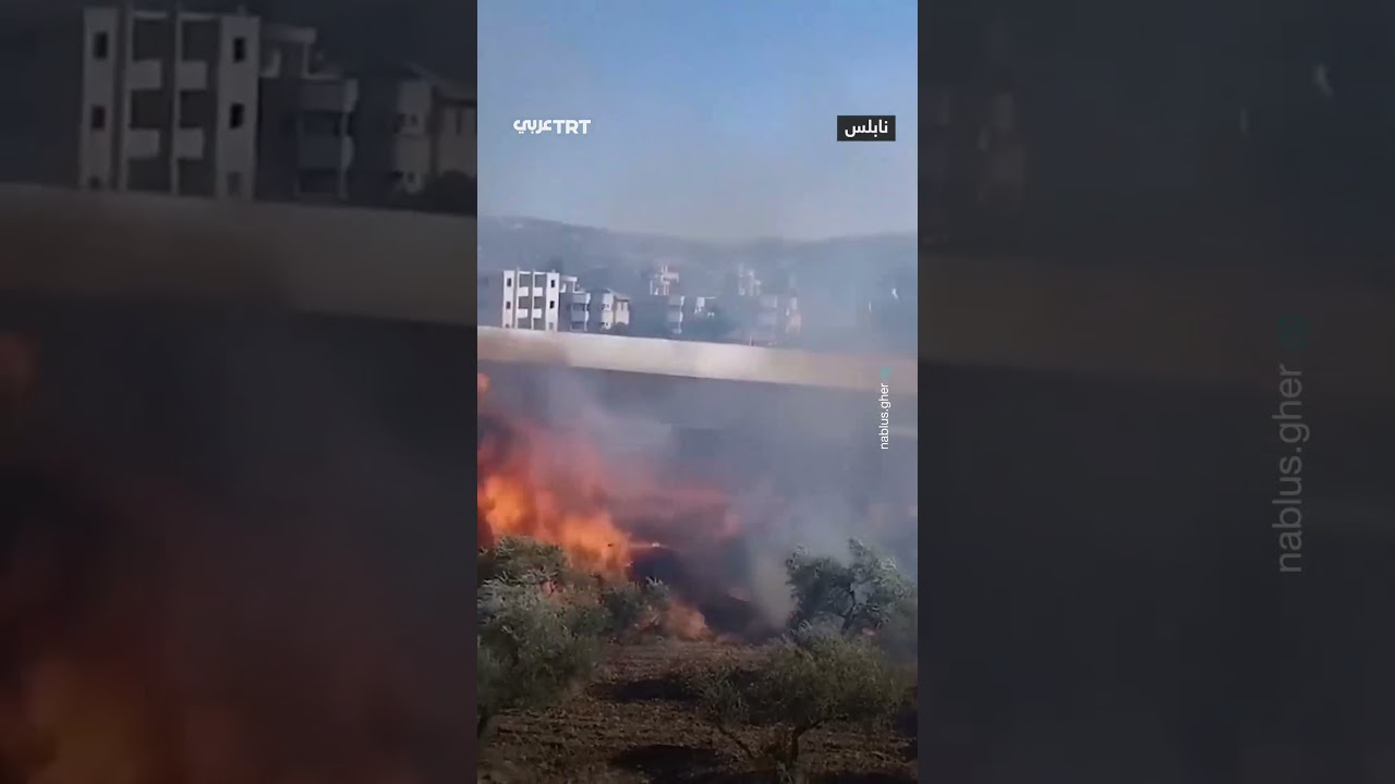في حماية جيش الاحتلال..مستوطنون مسلحون يهاجمون ممتلكات الفلسطينيين في قريتي حوارة وبورين جنوب نابلس