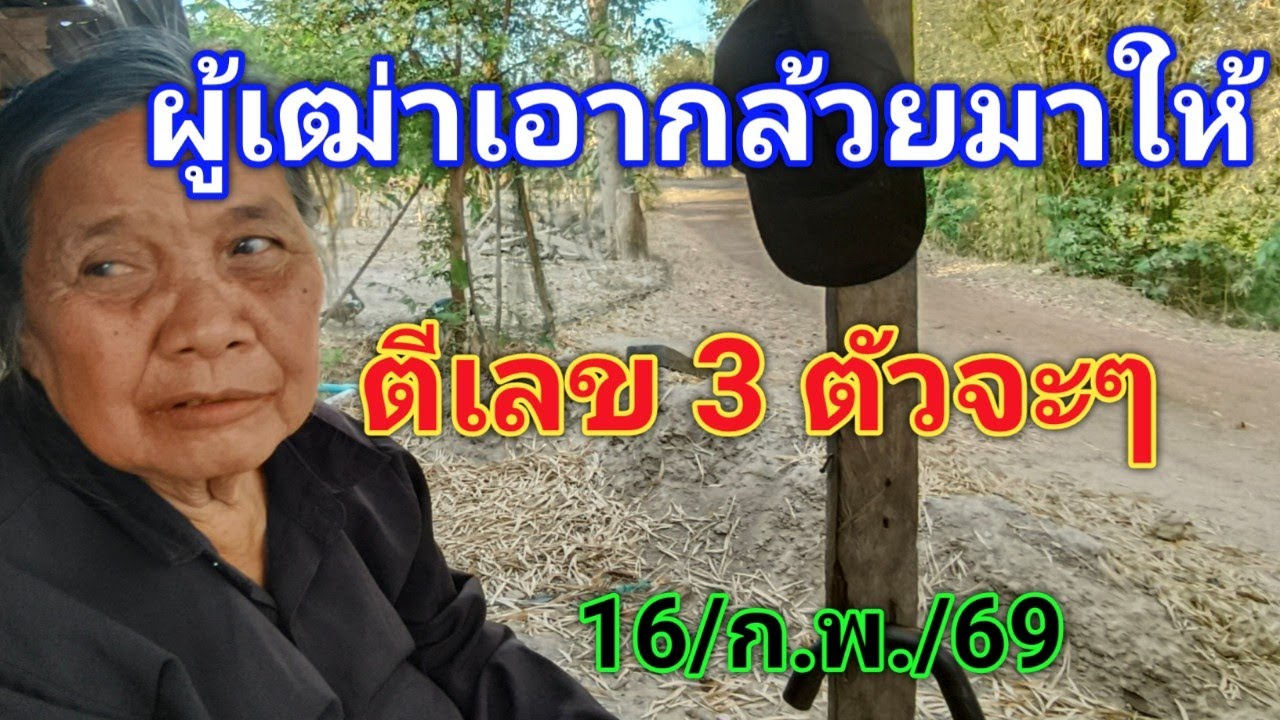 #ห้ามพลาด #ฝันเห็นผู้เฒ่าหลังค่อมเอากล้วยมาให้ตีเลข 3 ตัวจะๆ16/ก.พ./69