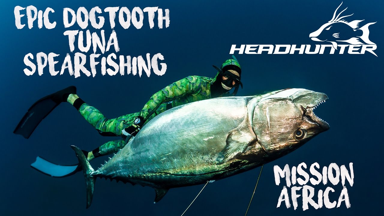 EPIC Dogtooth Tuna Spearfishing: Mission Africa