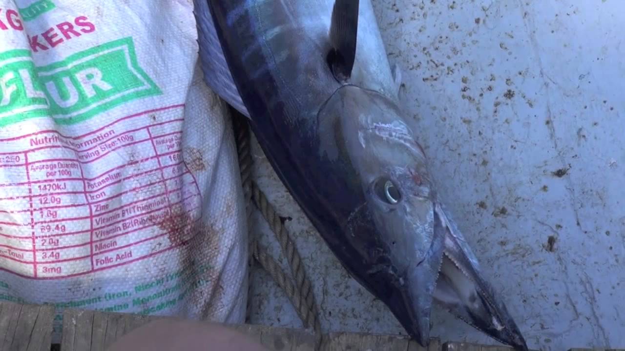 The Internet of Experiences:  RFID Fishing in Fiji for Yellowfin