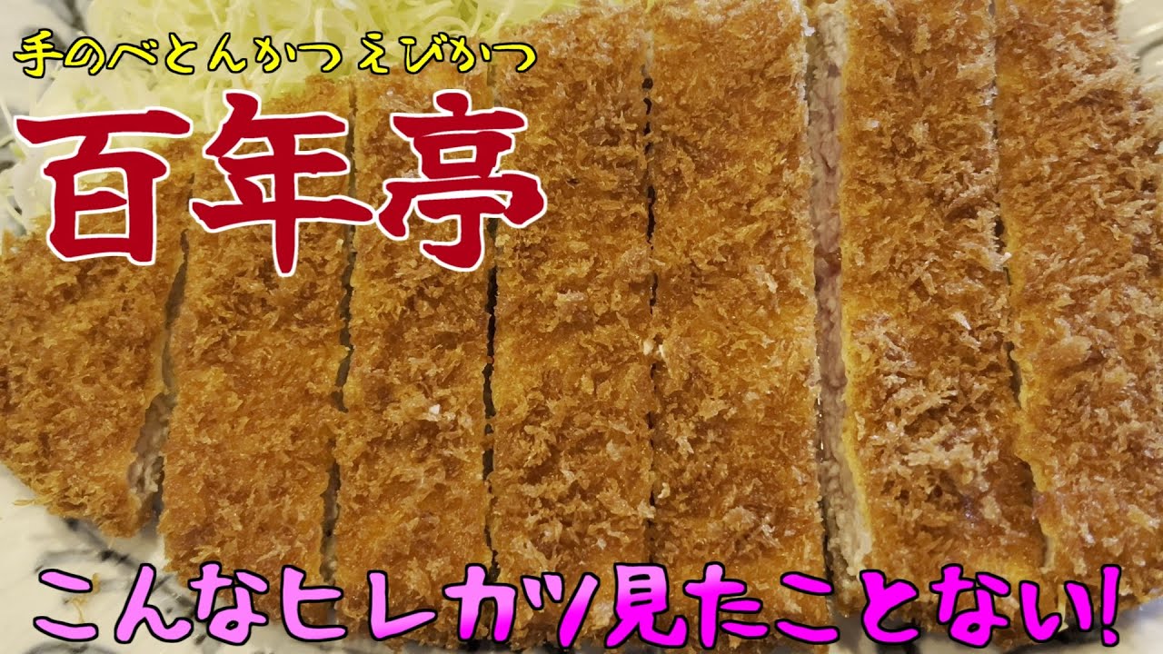 愛知の名店シリーズ！百年亭で爆食の巻