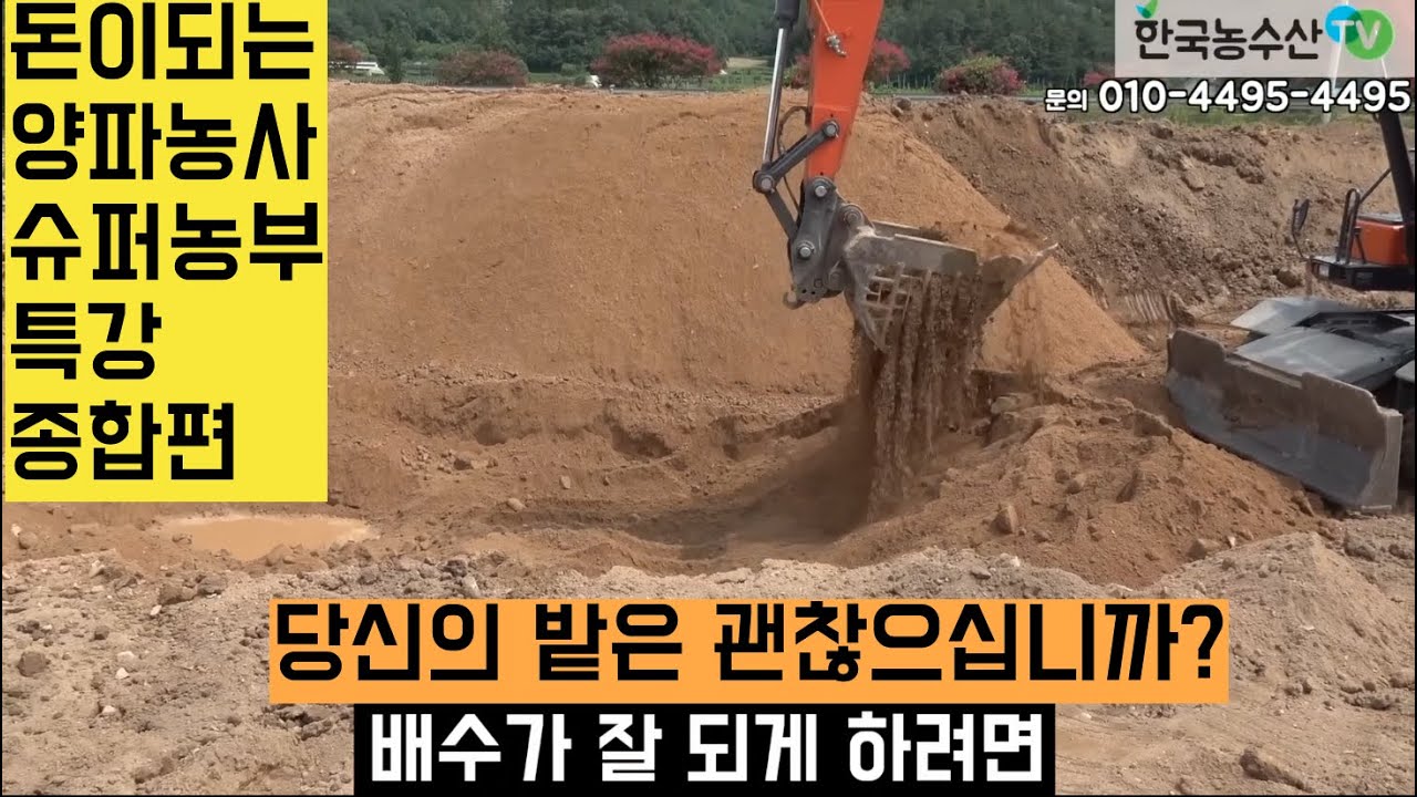 [한국농수산TV] 돈이되는 양파농사 슈퍼농부 특강 - 종합편