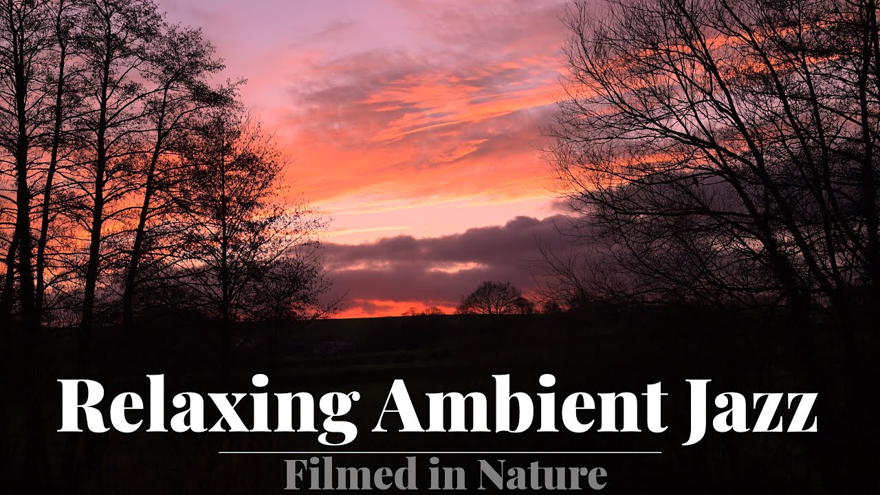 Evening Light in the British Countryside | Relaxing Jazz Ambience