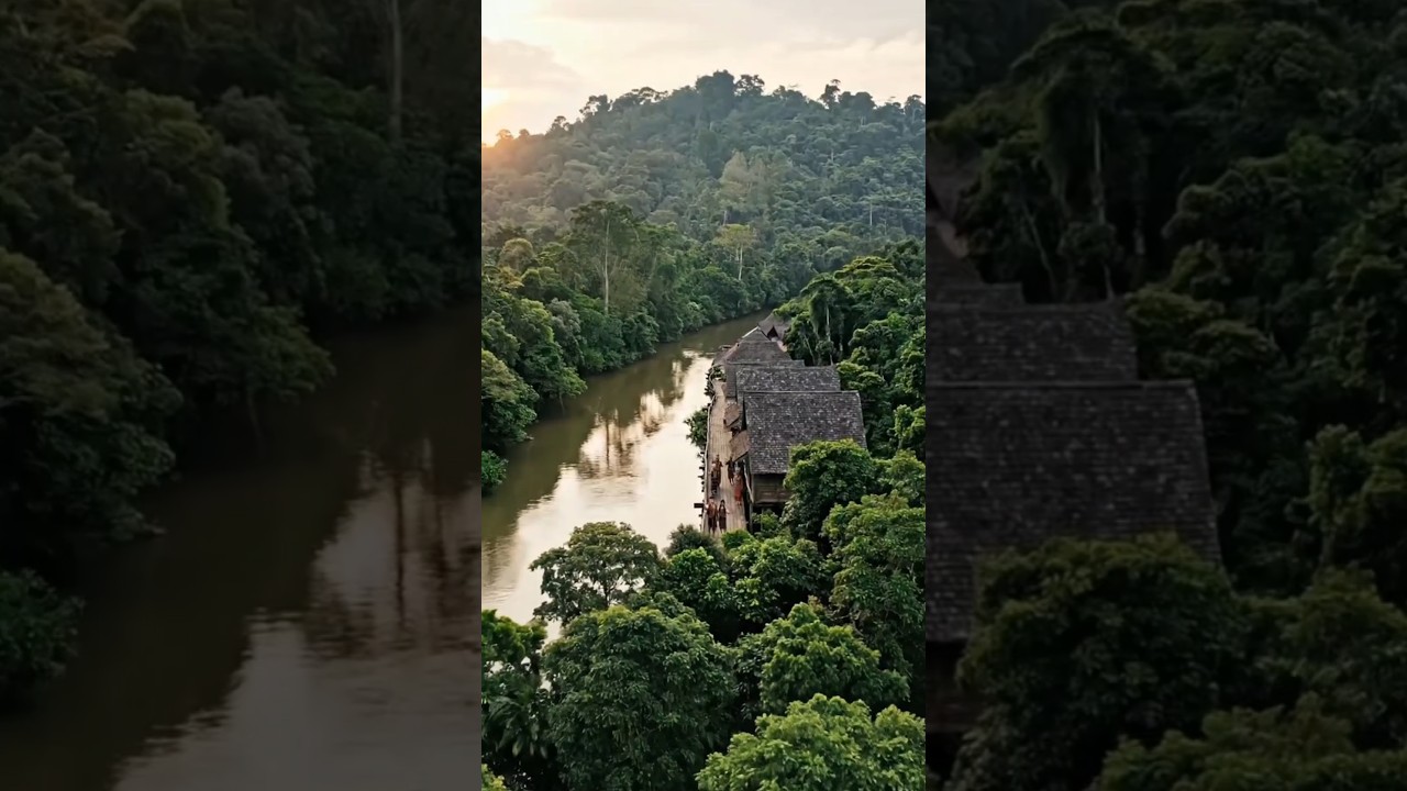 Dayak Traditions and Community Spirit of Borneo 
