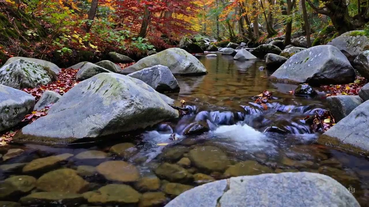Relaxing Piano & Water Sounds 🌊 Deep Sleep Music for Stress Relief & Inner Peace