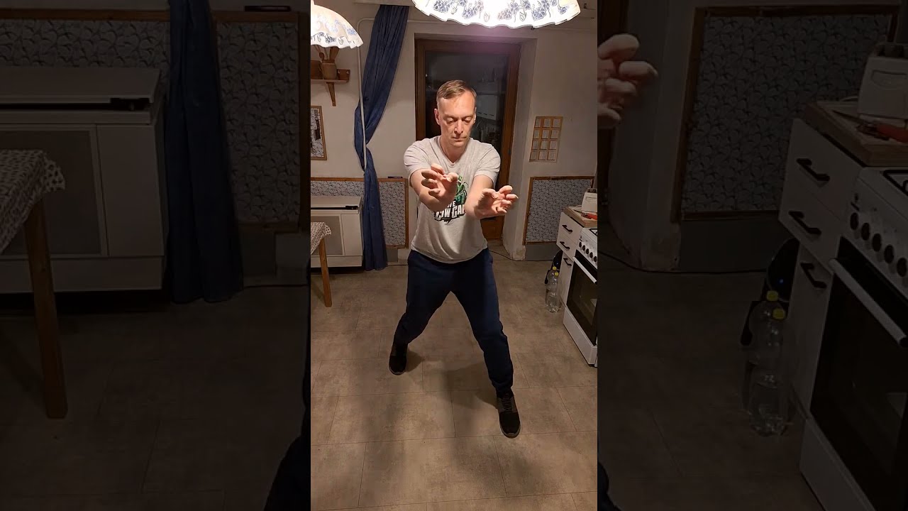 Day 20: Short and Long Steps, Attacking with knee, Saam Gin Yiu Kiu, Saam Bo Gin