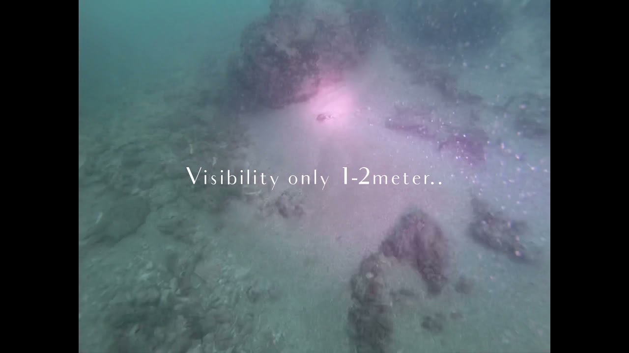 Scuba diving in Singapore, GoPro firm without filter.