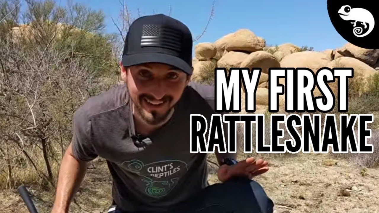 Clint Catches Rattlesnakes In Arizona!