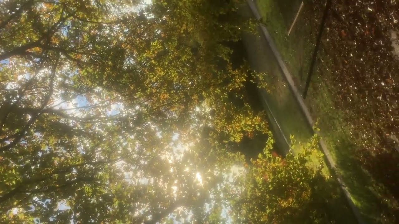 EP. 220