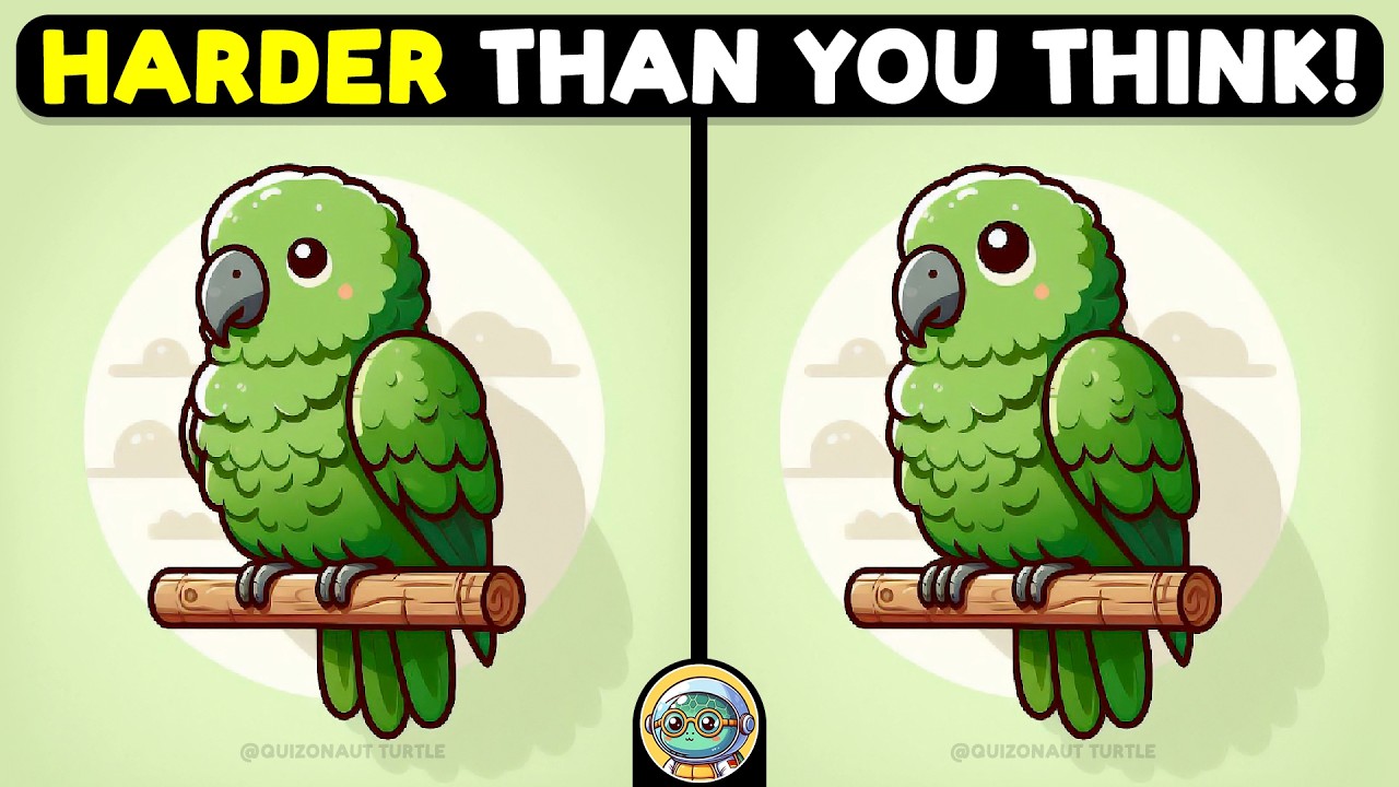 🐢🧩 Find 3 Differences | Your Daily Brain Workout 🧩🐢 | Quizonaut Turtle