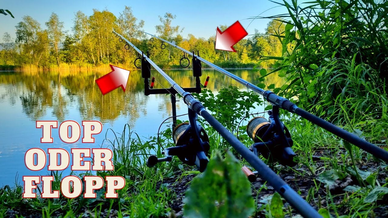 Gemütliches Karpfenangeln im Sommer 🌞 Prologic Bissanzeiger MK 2 Series Custom Pink  Top oder Flopp!