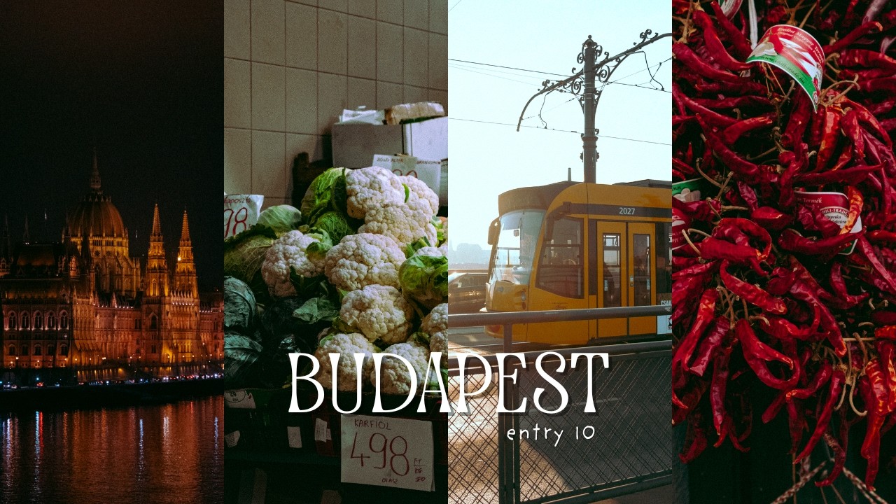 Budapest 🇭🇺 le parlement, des coffee shop & pleins de photos 🌟 europe diaries; entry 10