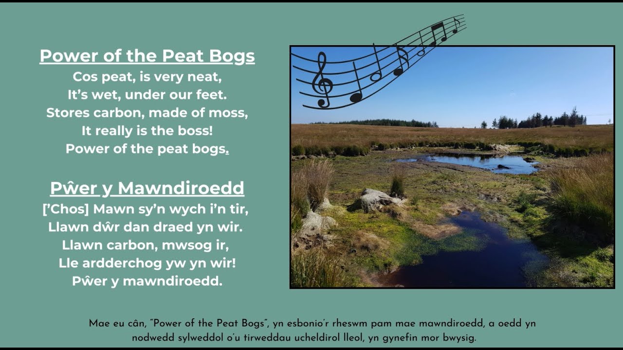 Power of the Peat Bogs 💮 Pwer y Mawndiroedd