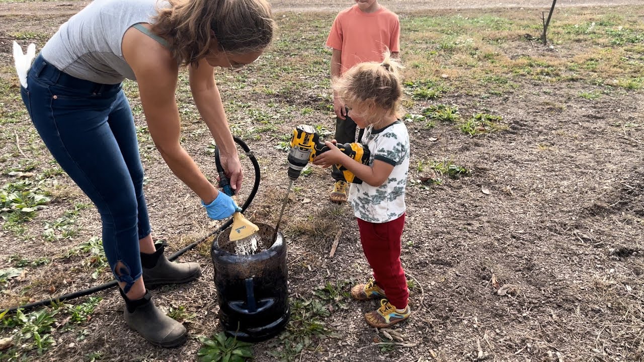 How to gather, clean and eat black wallnuts and have a TON of fun!