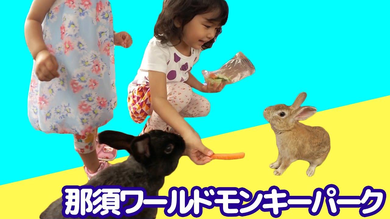 ウサギにエサをあげたよ♪ 那須ワールドモンキーパーク Vol.2  himawari-CH