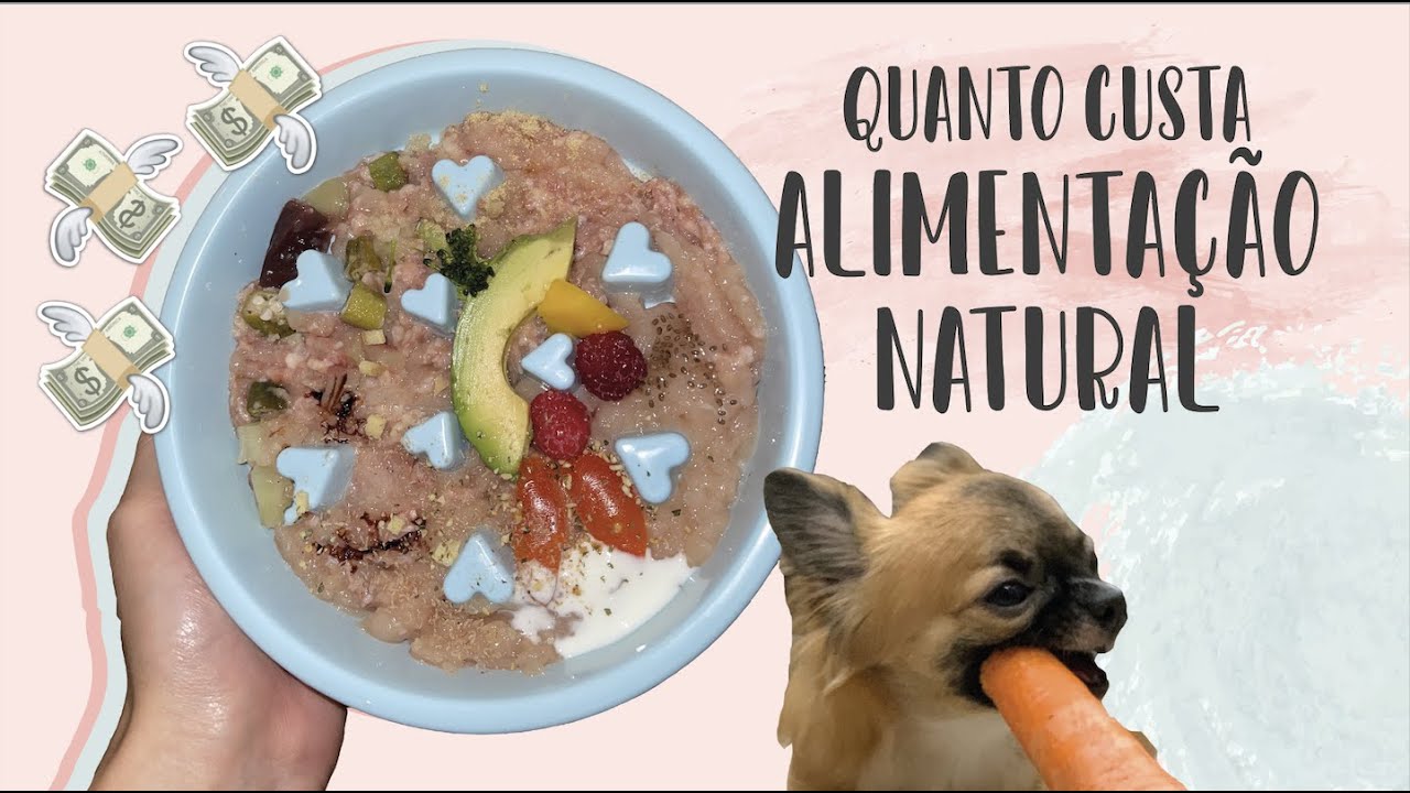 GASTO DIÁRIO DA ALIMENTAÇÃO NATURAL | É MUITO CARO? | GASTOS DETALHADOS E COMPARAÇÃO COM RAÇÃO