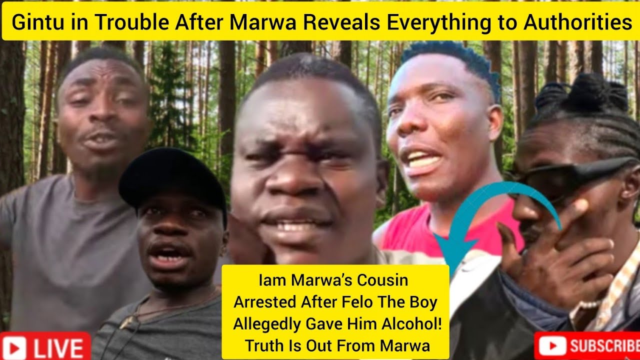 #legal Action@iammarwa ’s Haters Didn’t See This Coming Gintu Next Felo The Boy exposed @davyjnr3009