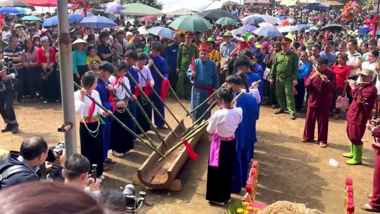 People are flocking to receive blessings from the rice stalks, as if expecting a bountiful harvest.