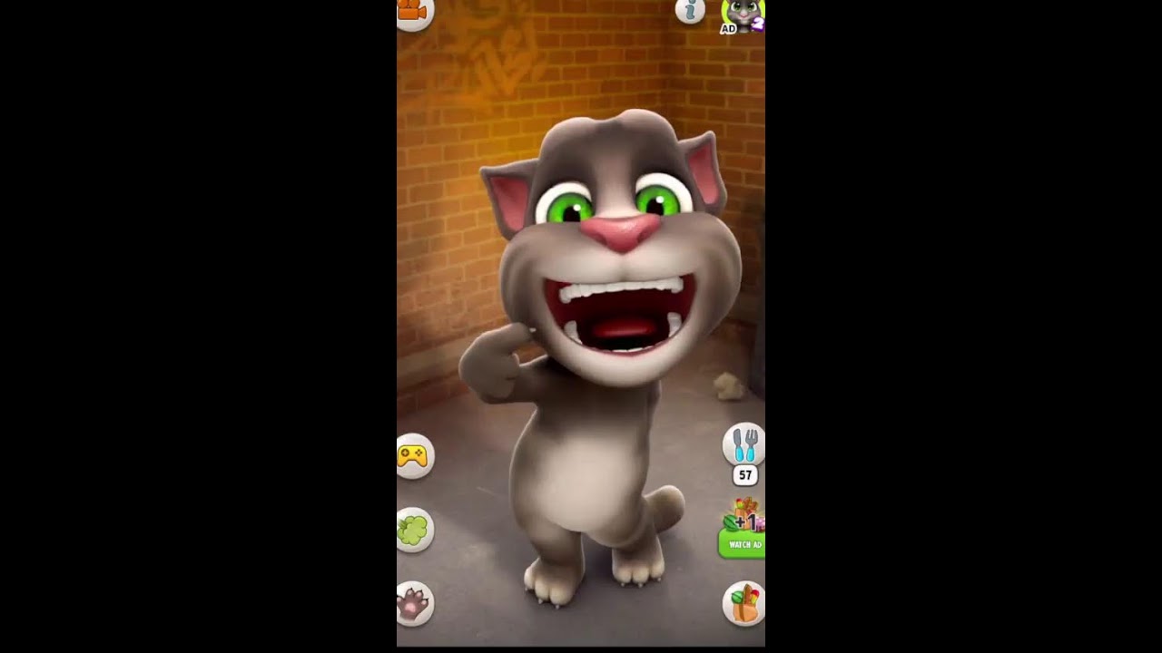 Talking Tom