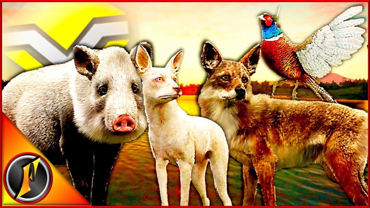 The Many Trophies of the Diamond Jackrabbit Hunt!