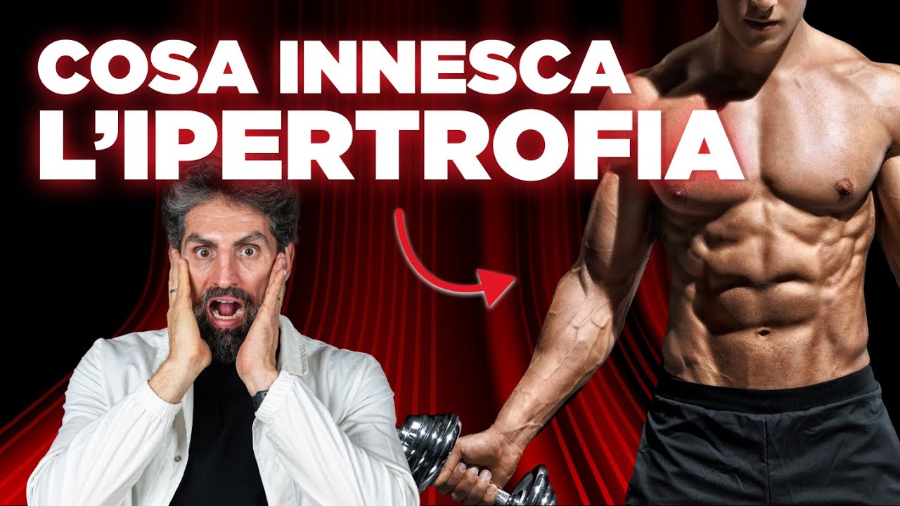 Cosa causa l'ipertrofia muscolare