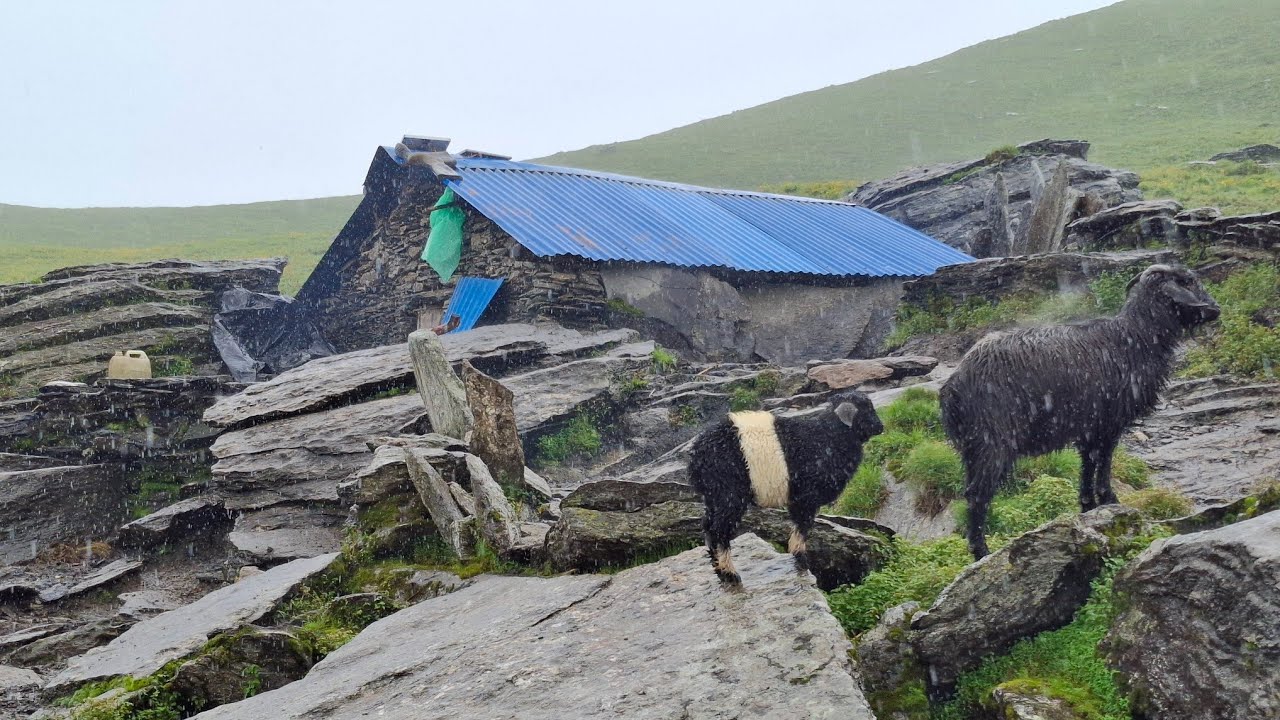 This is Best Life in A Himalayan Village During the Rainy | All Season Compilation Video Into Nepal 