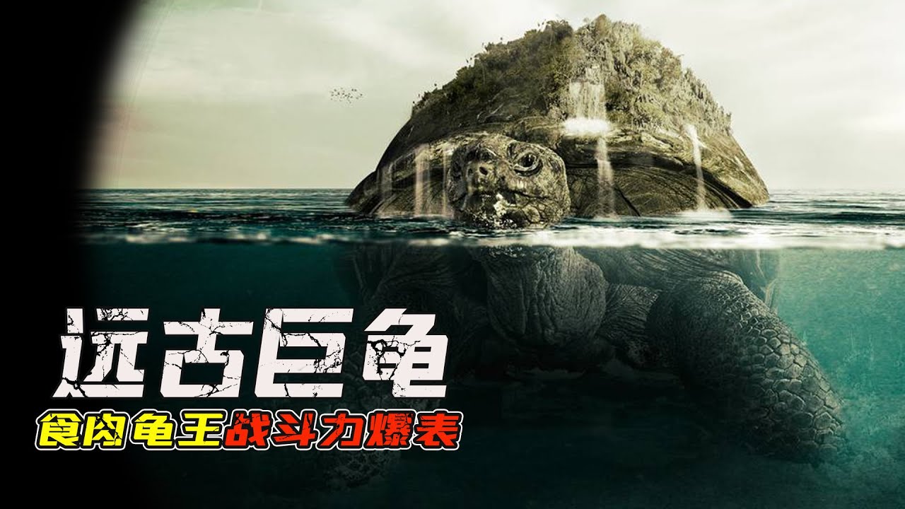 7000萬年前的遠古巨龜，身高4米體重2噸以上，傳說中的玄武龜？