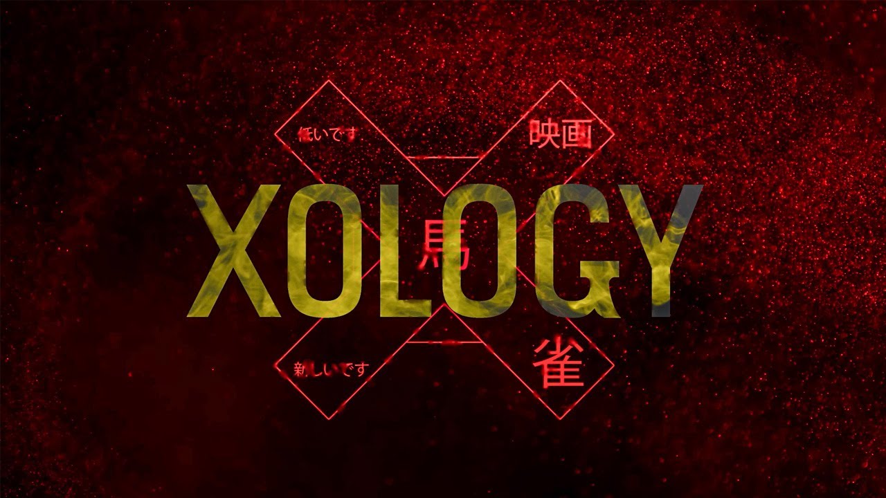 Serial Xology nadchodzi - Oficjalny statement 2024!