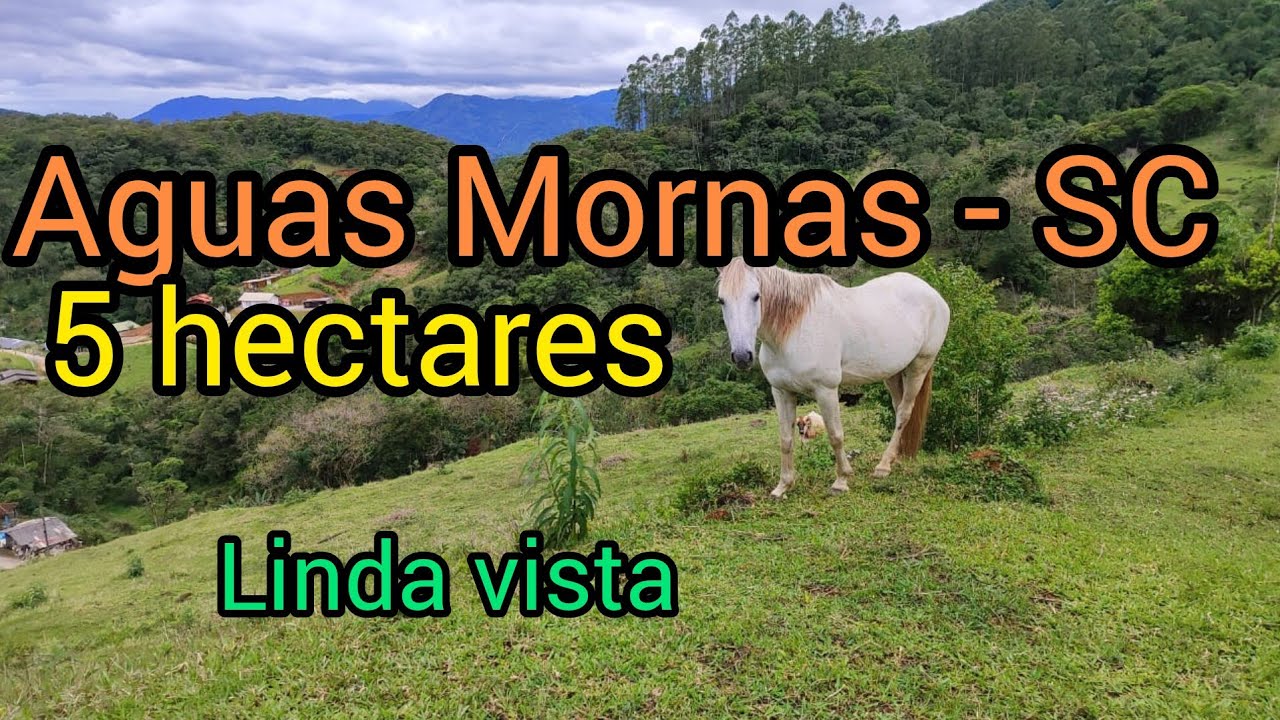 Sítio  linda vista Águas Mornas SC. 5.5 Hectares, 2 riachos.Proximo da cidade.