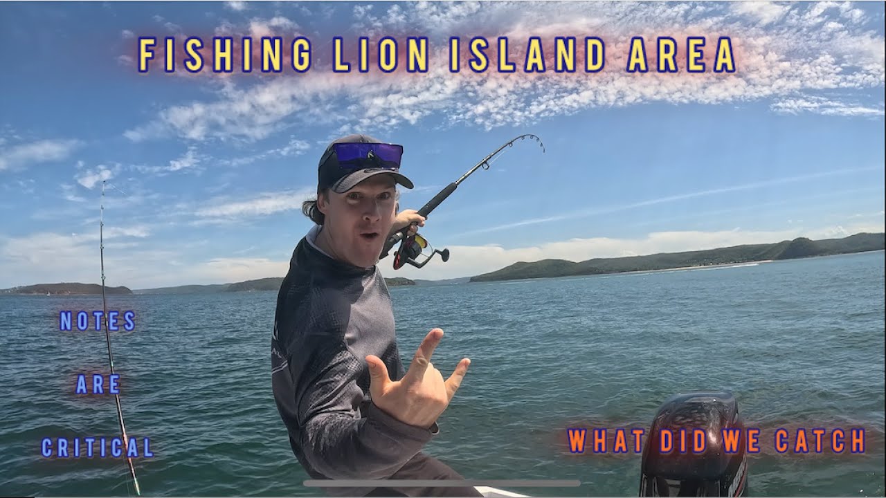Fishing lion island in my new boat, what did we catch