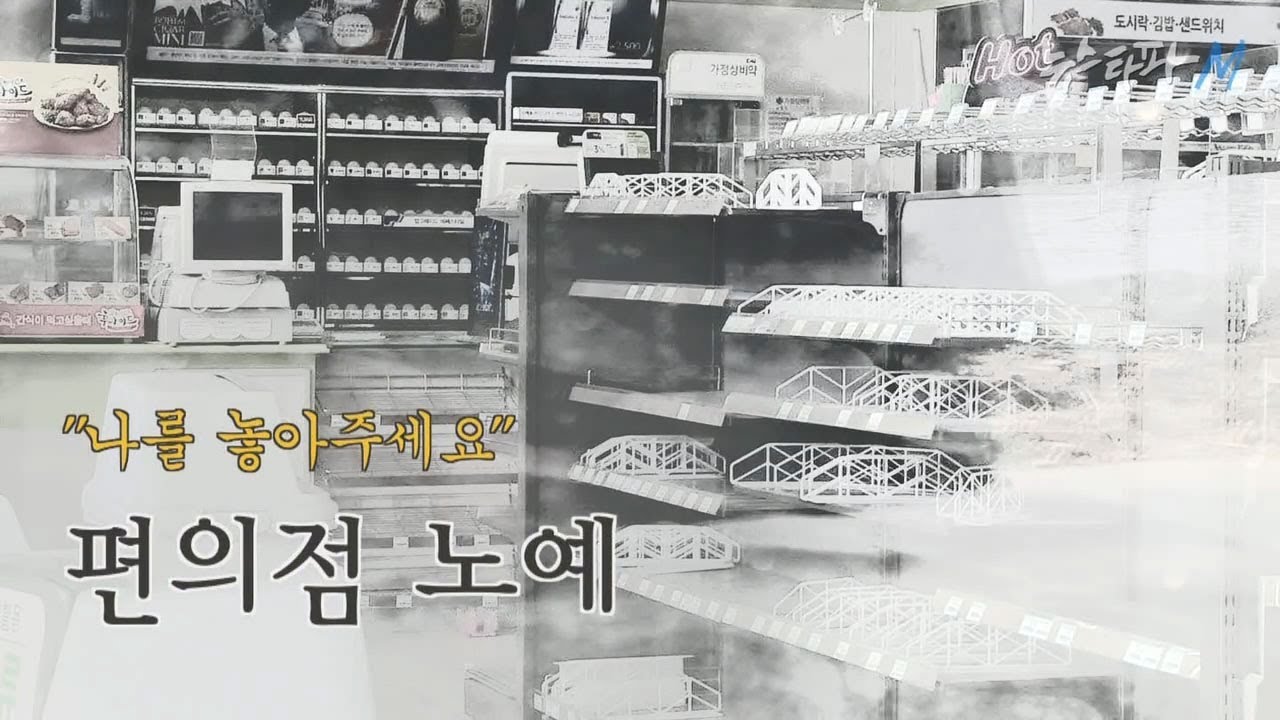 뉴스타파M 3회 - 도시생태보고서 : 