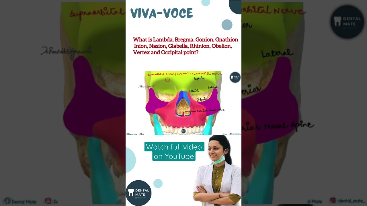 Know- lambda, bregma, gonion, gnathion, inion, nasion, glabella, rhinion, obelion @dentalmate