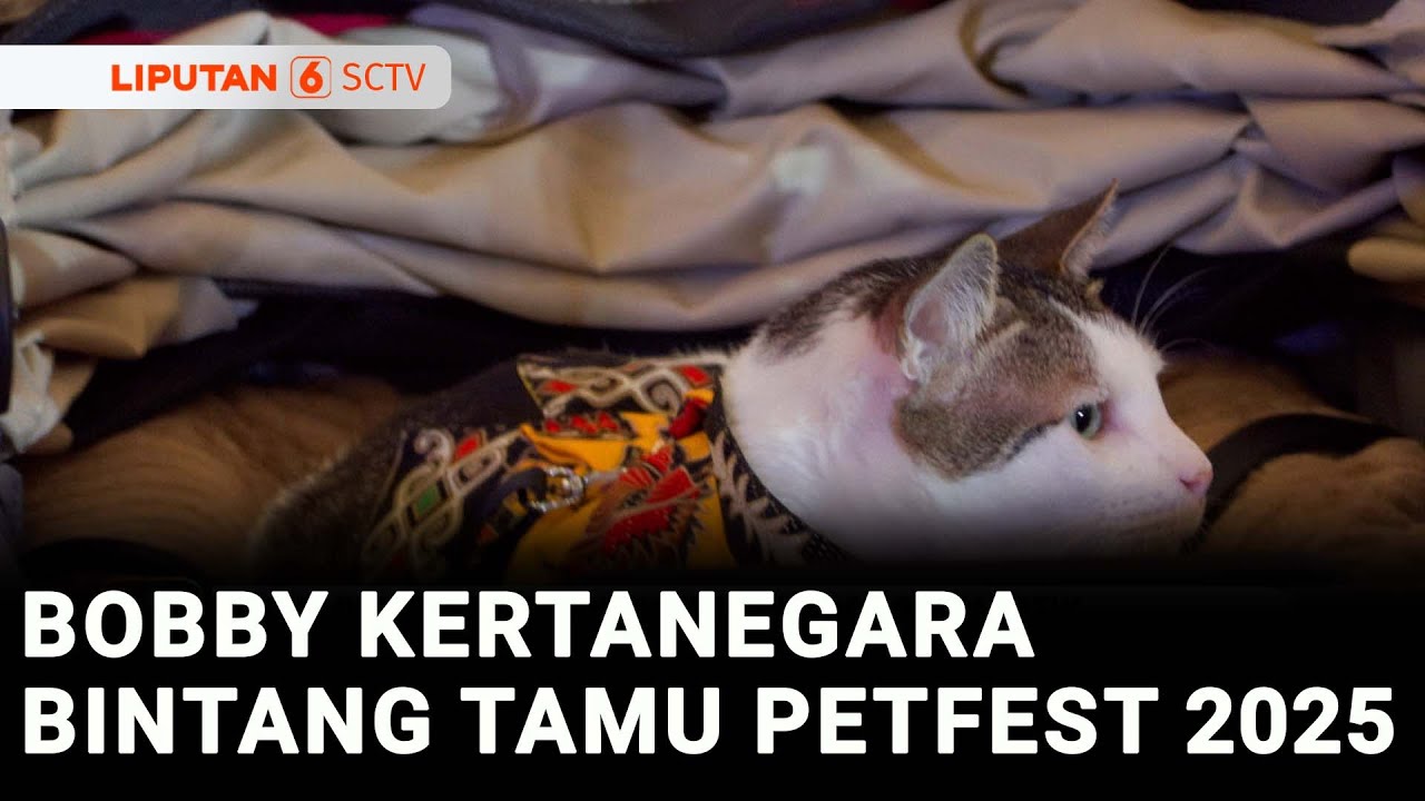 Gemas! Hadiri Petfest 2025, Bobby Kertanegara Pakai Batik | Liputan 6