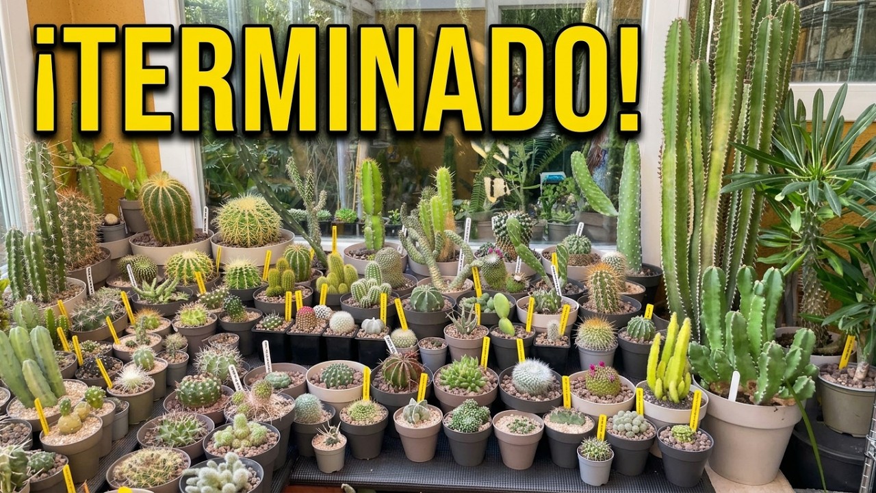Cactario terminado. ¡Al fin!