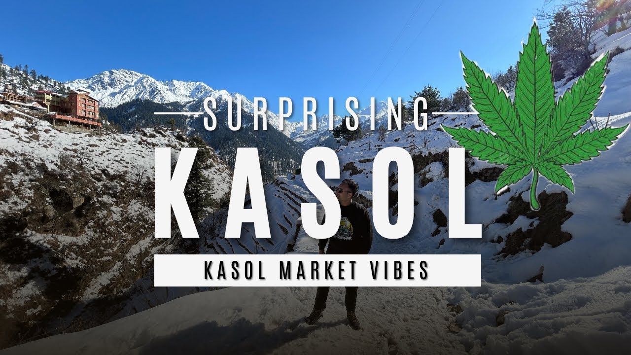 Found this In Kasol Market? | Travel On Wheels